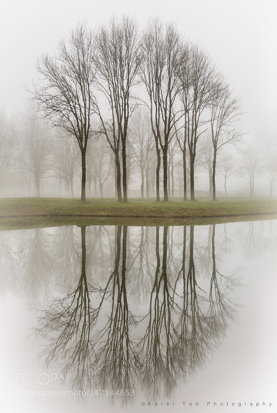 Canon EOS 6D sample photo. Mirror trees, bovenkarspel, holland photography