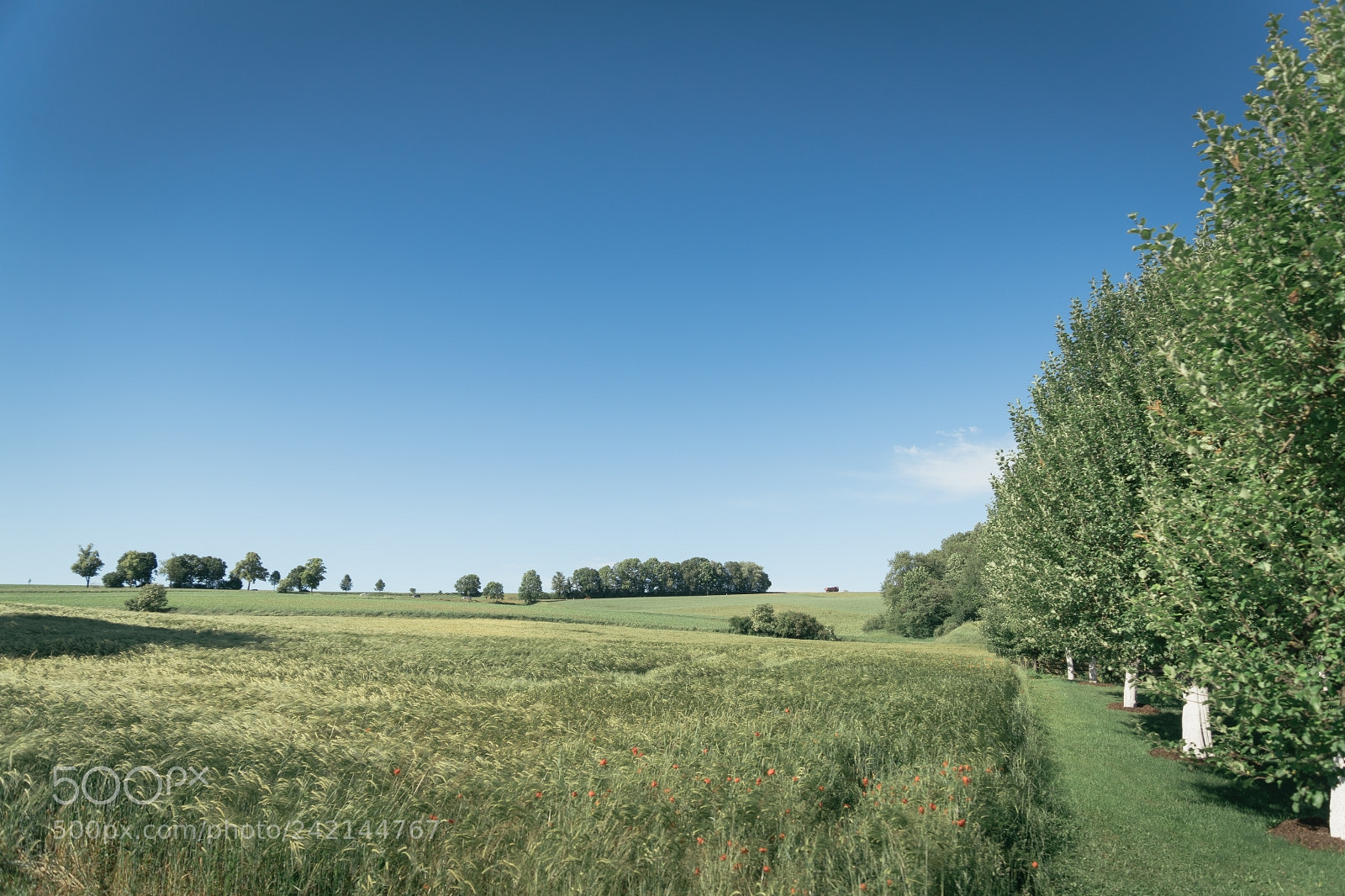 Sony SLT-A68 sample photo. Random bavarian landscapes photography
