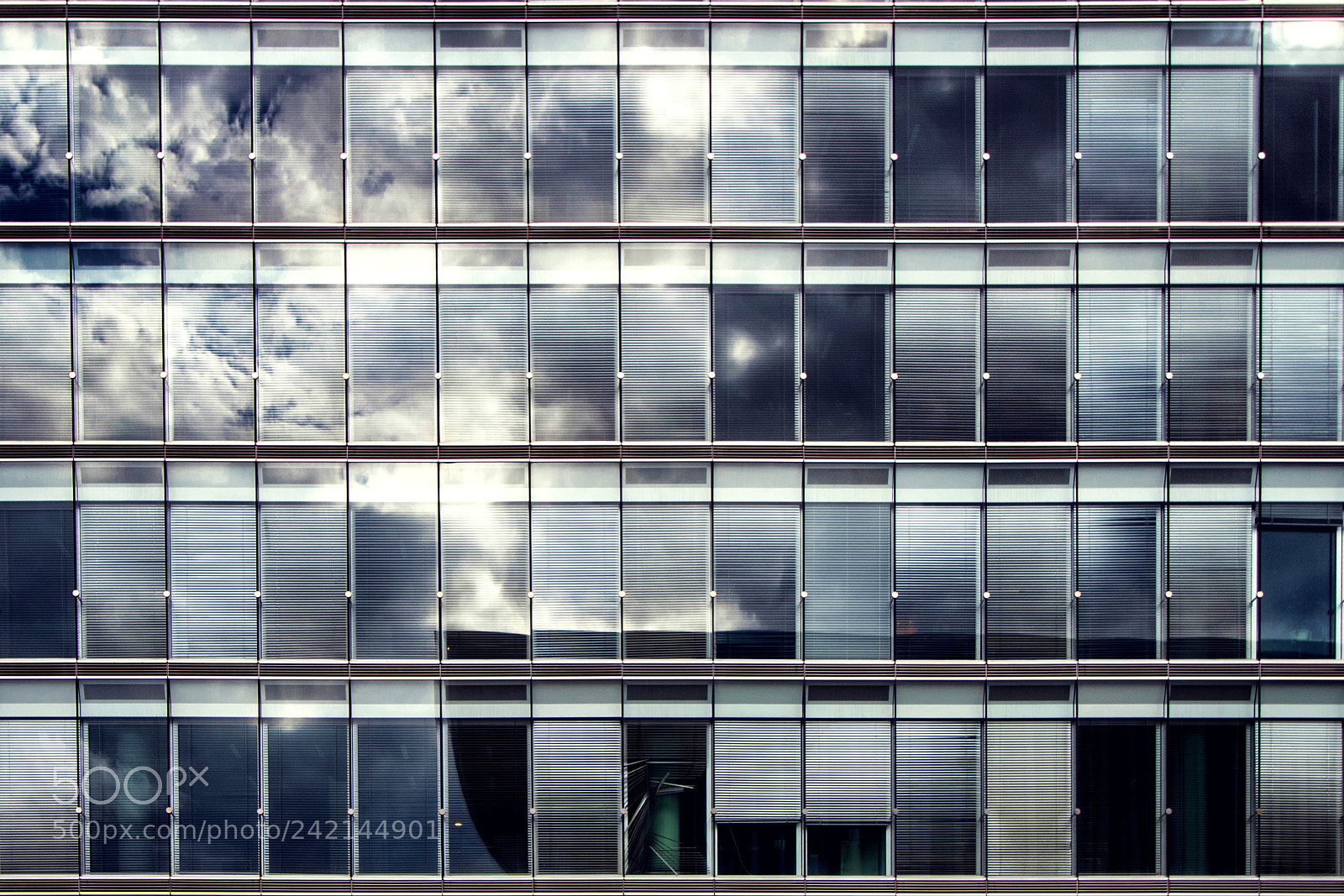 Canon EOS 7D Mark II sample photo. Week end photography