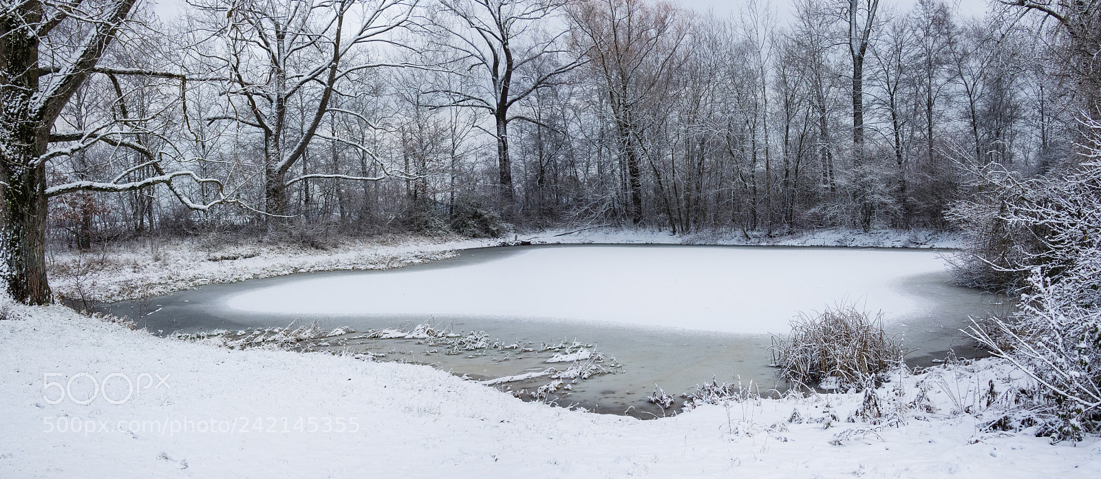 Olympus OM-D E-M1 sample photo. Waves on a lake 2 photography