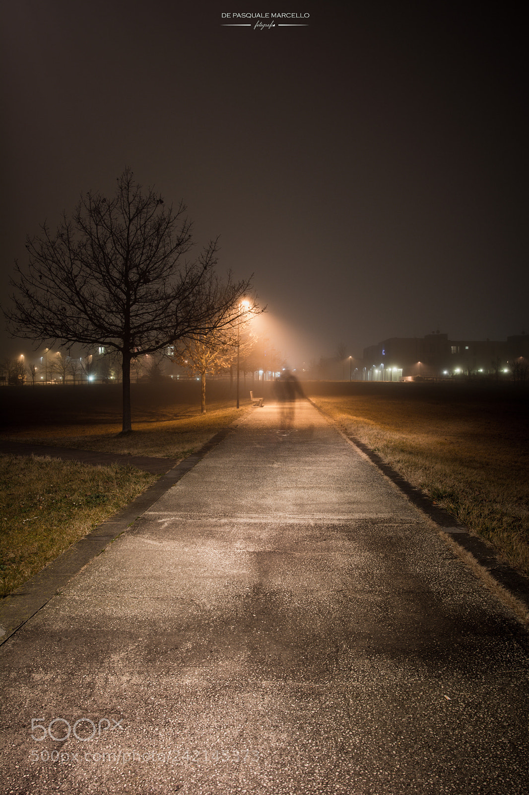 Nikon D7100 sample photo. Ghost in the fog photography
