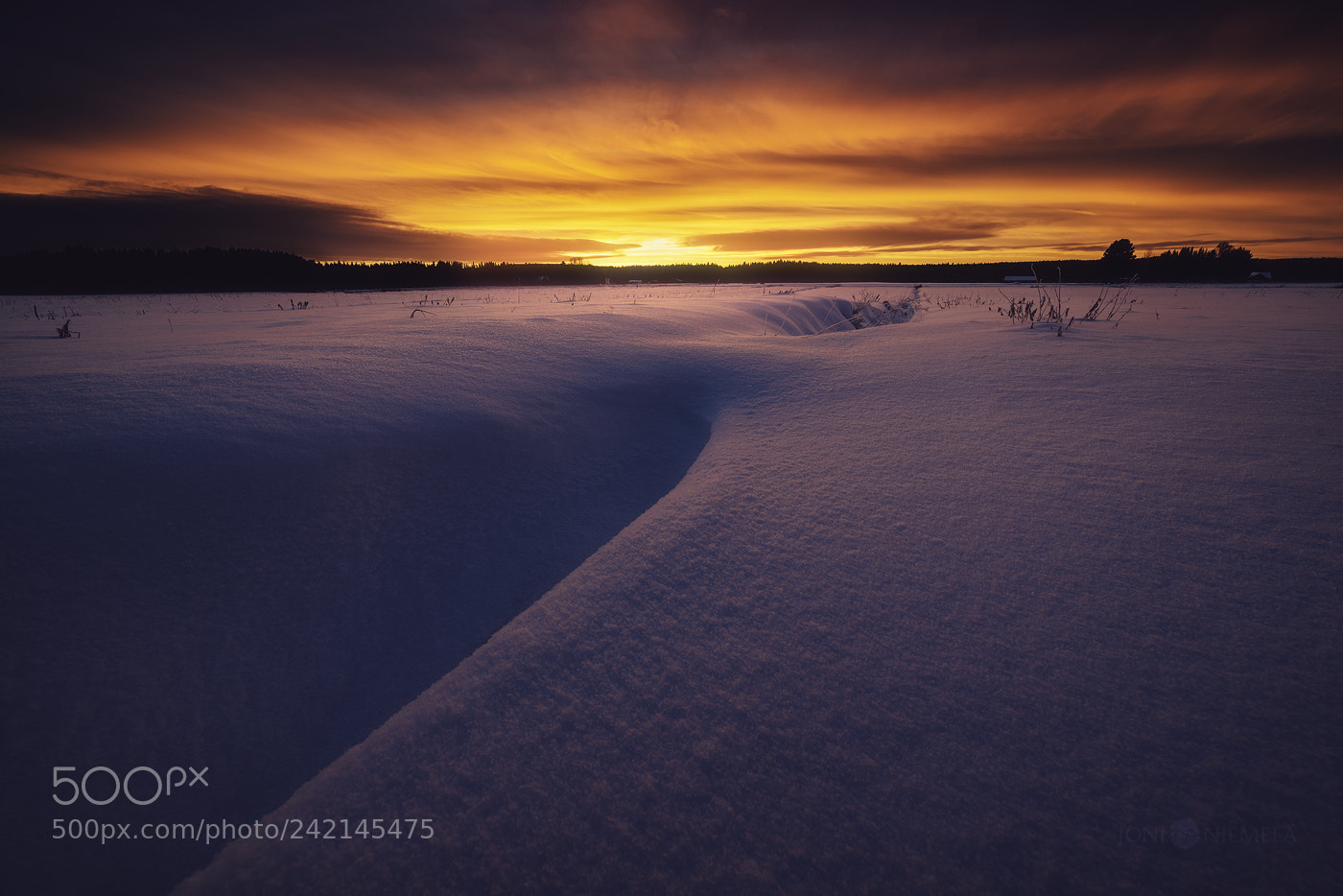 Nikon D800 sample photo. Fire and ice photography