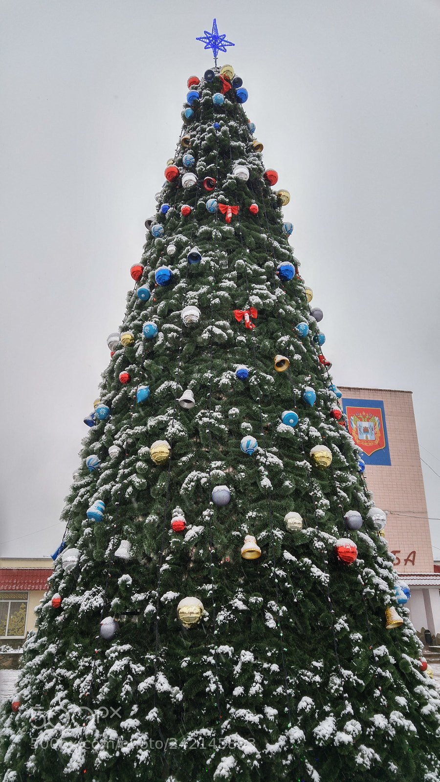 LG H818P sample photo. New year tree ? photography