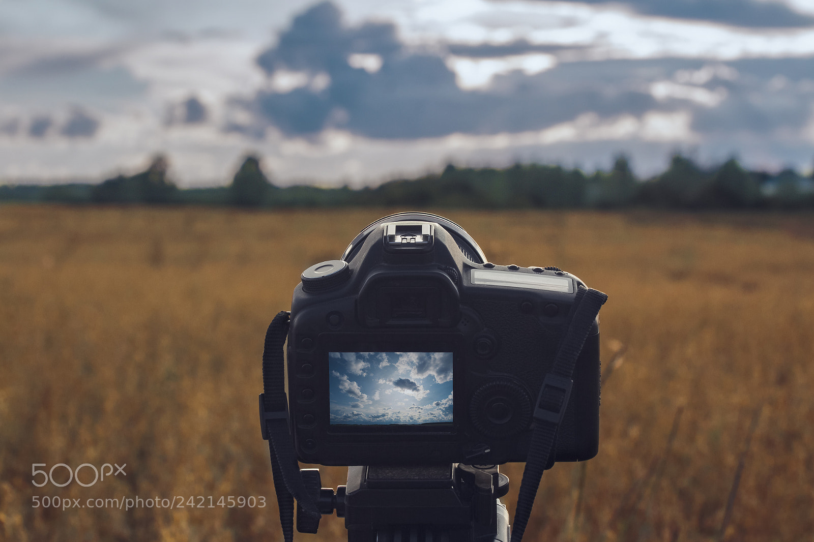 Canon EOS 650D (EOS Rebel T4i / EOS Kiss X6i) sample photo. Timelapse shooting photography