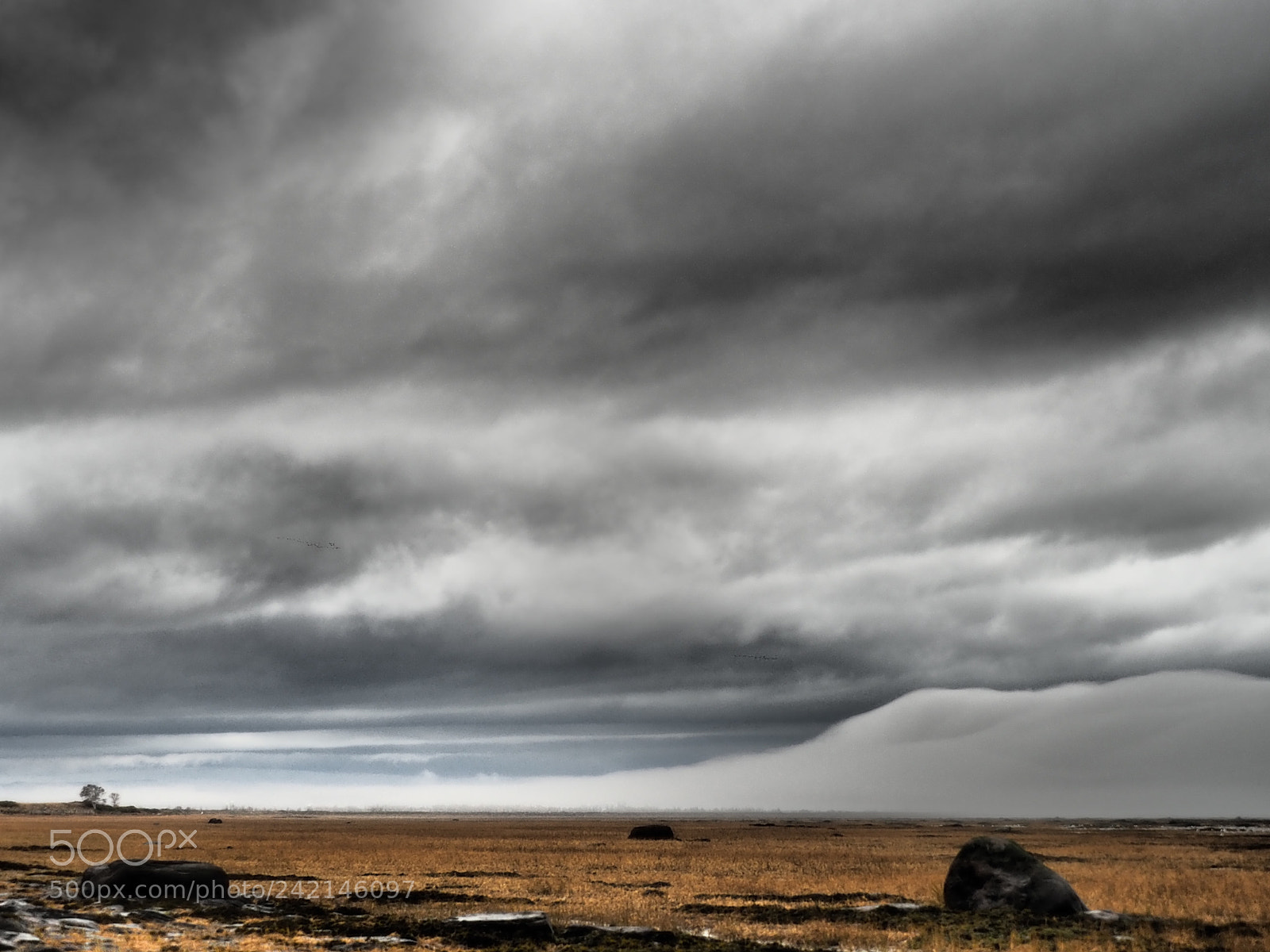 Olympus OM-D E-M5 II sample photo. Kamouraska photography