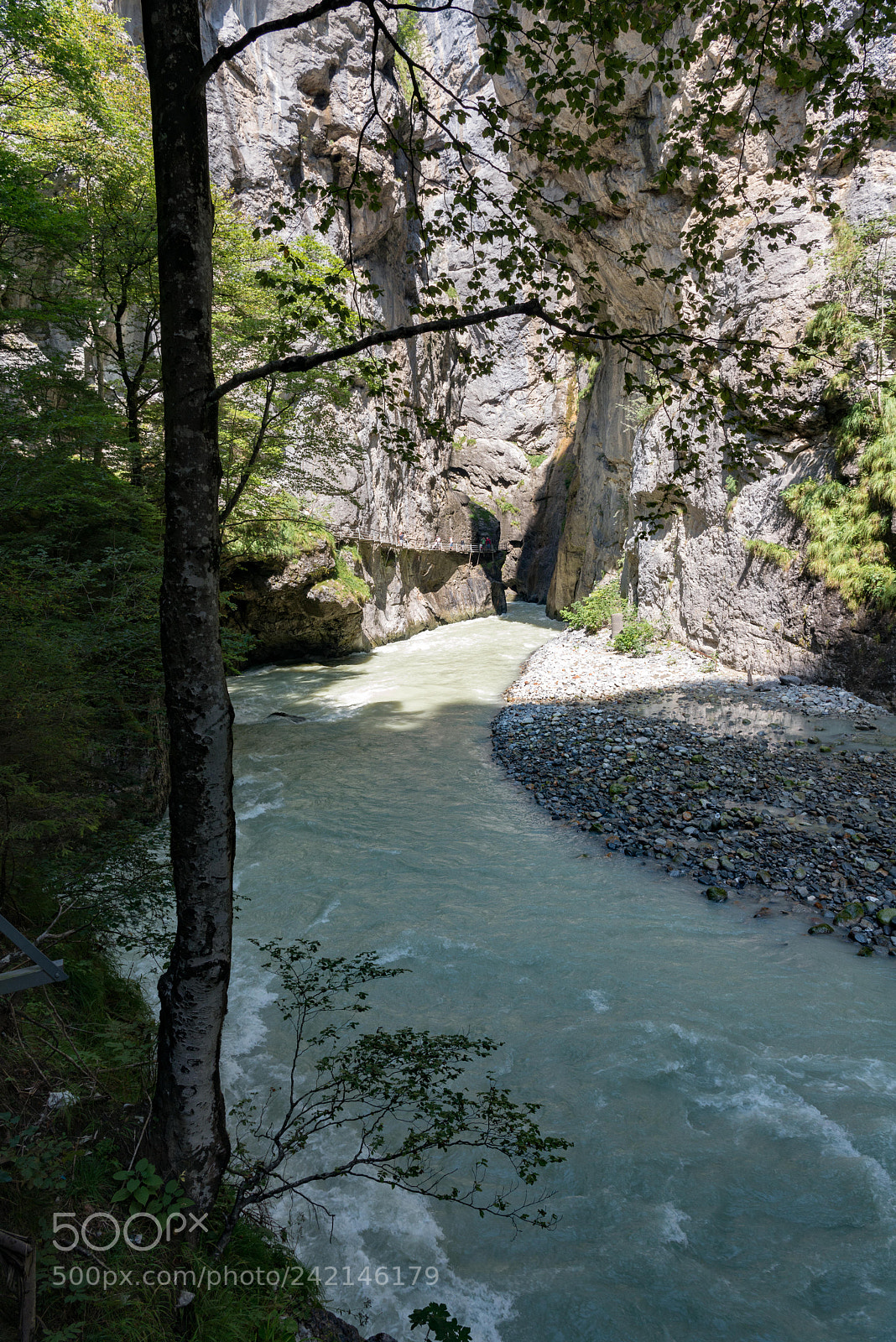 Nikon D800 sample photo. Aareschlucht photography