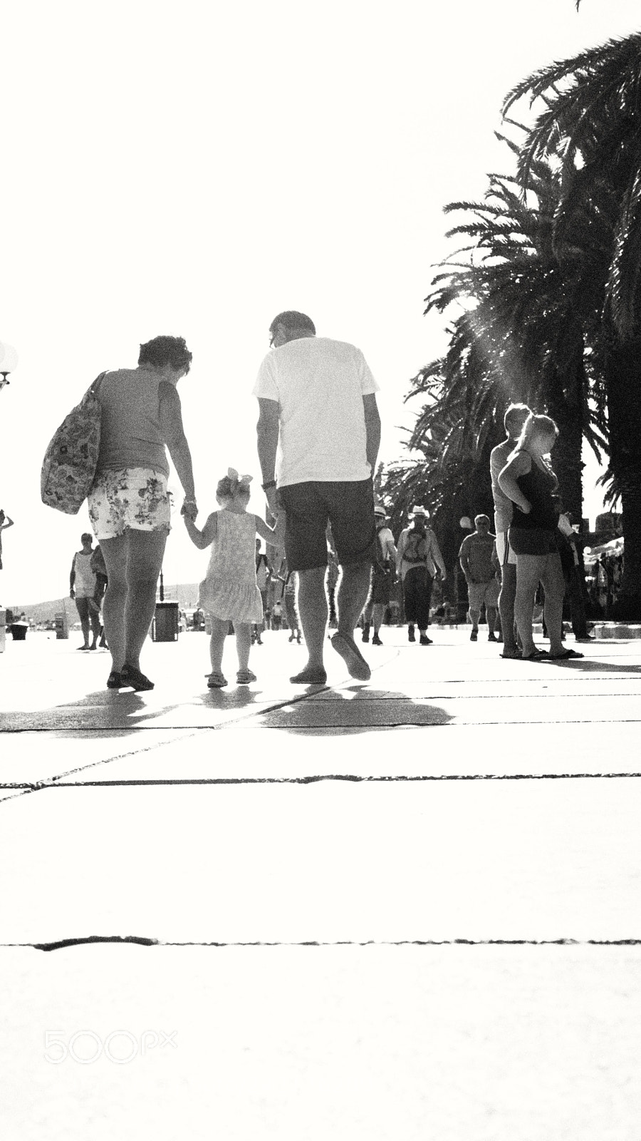 Olympus OM-D E-M10 sample photo. Untitled photography