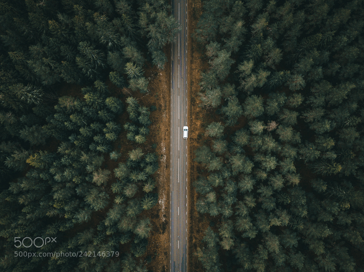 DJI FC220 sample photo. Birdseye photography