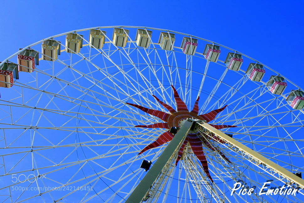 Canon EOS 550D (EOS Rebel T2i / EOS Kiss X4) sample photo. The great wheel photography