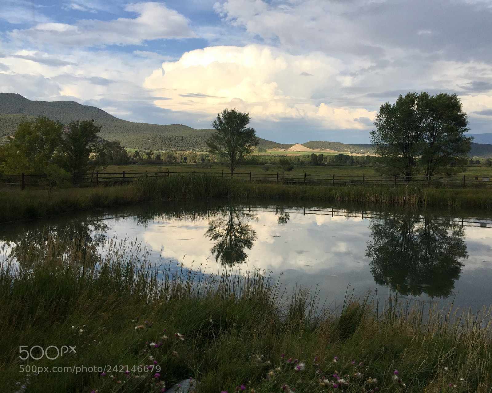 Apple iPhone 6 Plus sample photo. Cloud reflection. photography