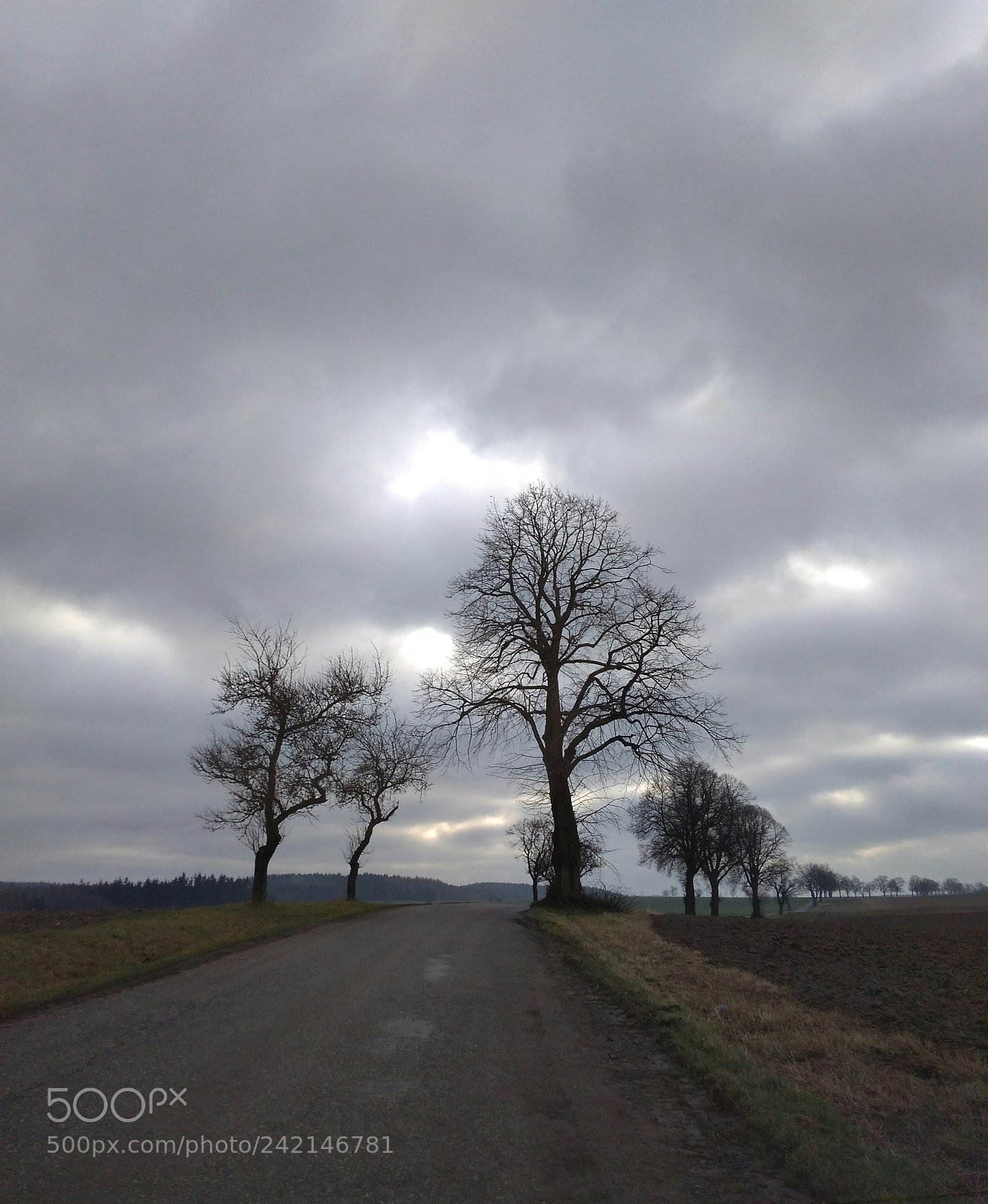 Xiaomi Redmi 4A sample photo. Road photography