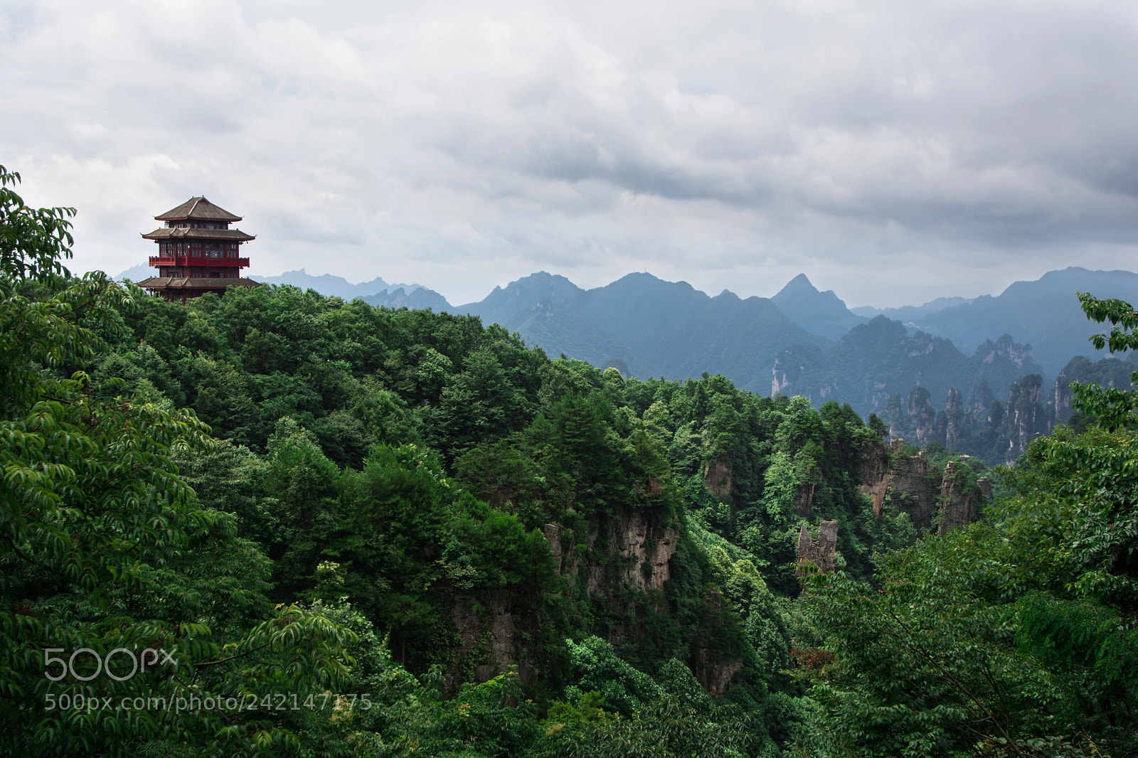 Nikon D7100 sample photo. Zhangjiajie national park photography