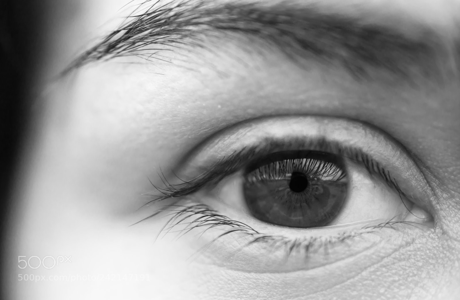Nikon D7100 sample photo. Gates to the soul photography