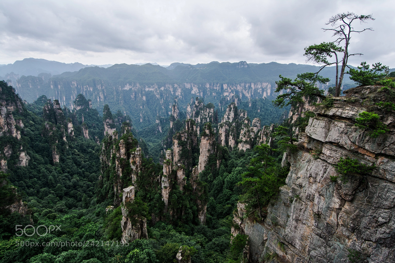 Nikon D7100 sample photo. Zhangjiajie national park photography