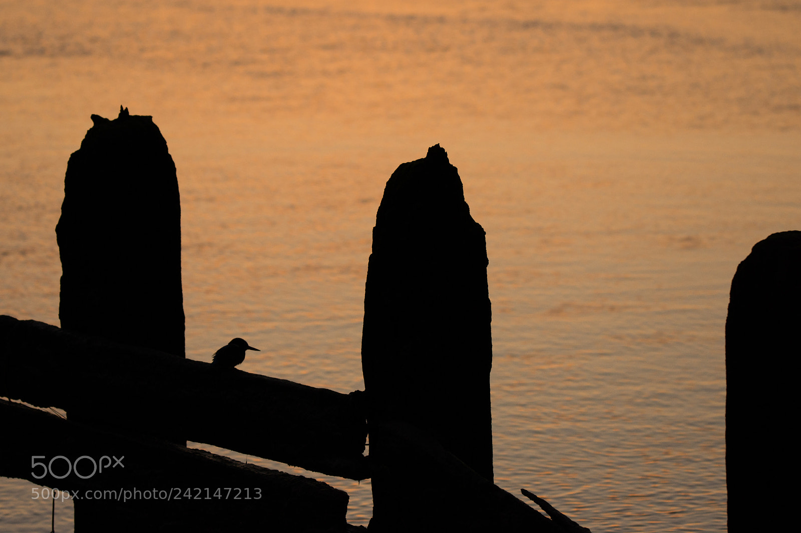 Nikon D7200 sample photo. Last light fishing photography