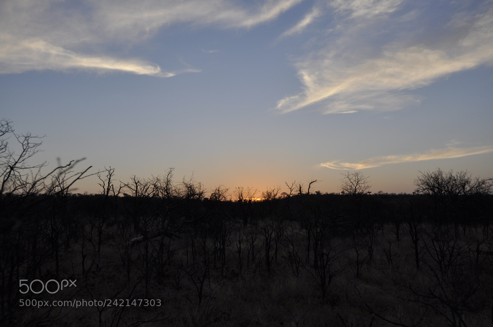 Nikon D90 sample photo. Last light photography