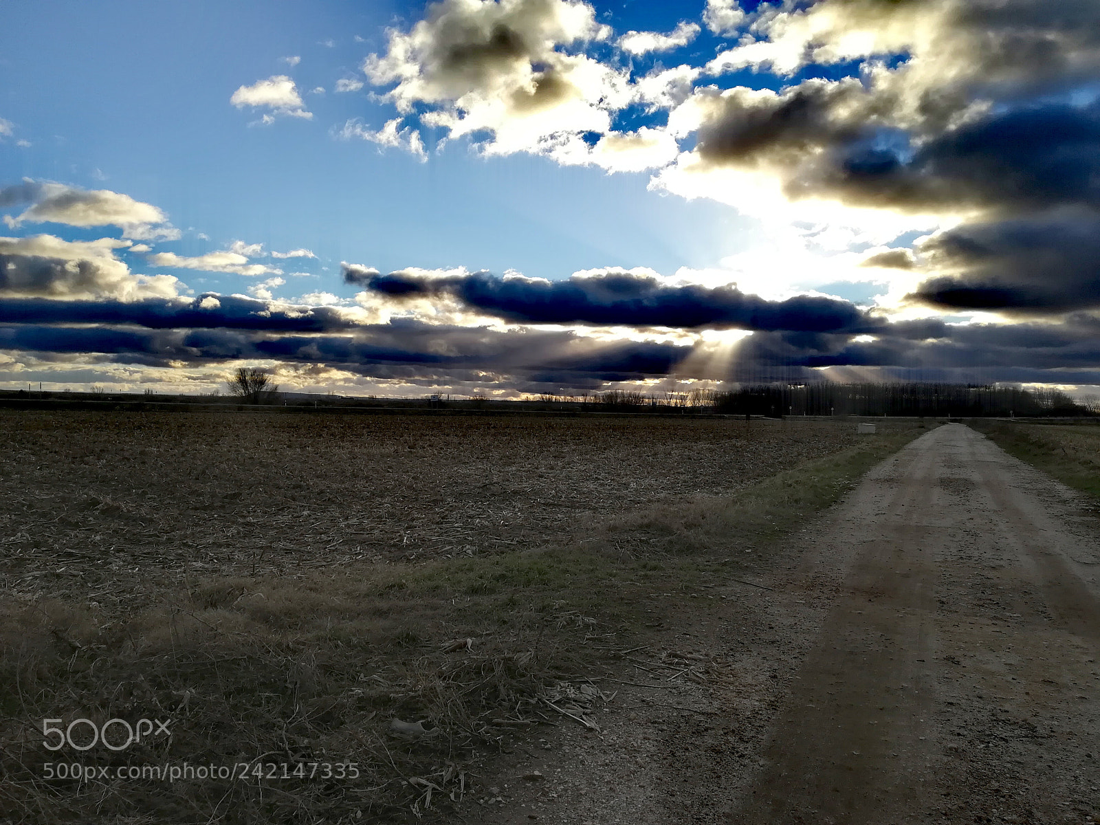 HUAWEI PRA-LX1 sample photo. Untitled photography