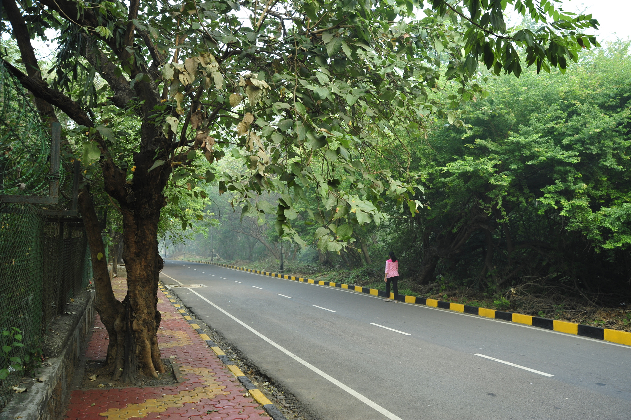 Nikon D700 + AF Zoom-Nikkor 28-105mm f/3.5-4.5D IF sample photo. Morning walk photography