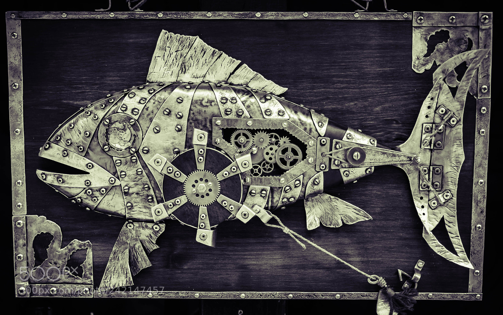 Nikon D5000 sample photo. Mechanical fish photography