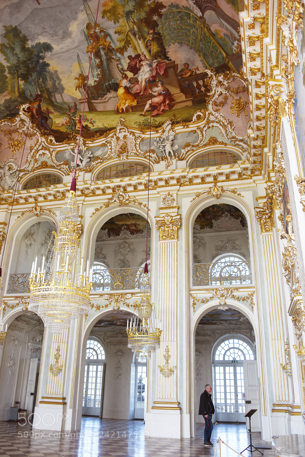 Nikon D810 sample photo. A grand room photography