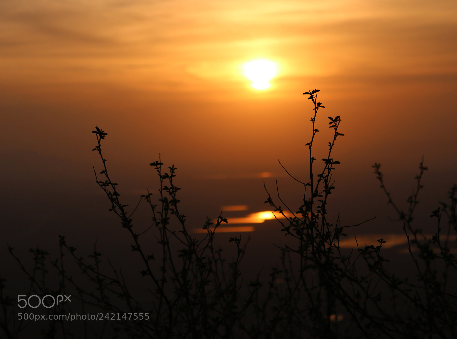 Canon EOS 750D (EOS Rebel T6i / EOS Kiss X8i) sample photo. Peaceful sunrise over the photography