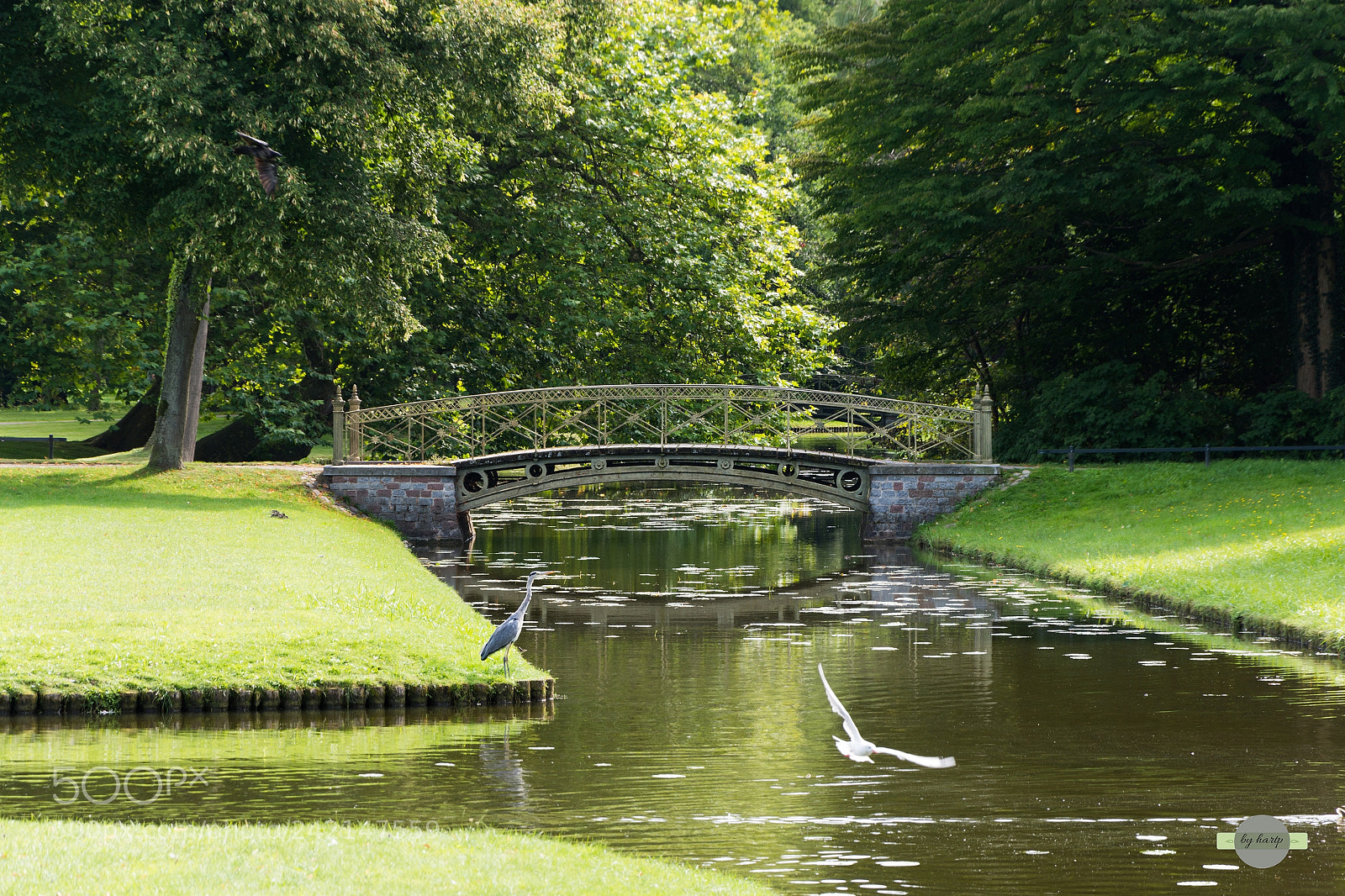 Nikon D7200 sample photo. Im park photography