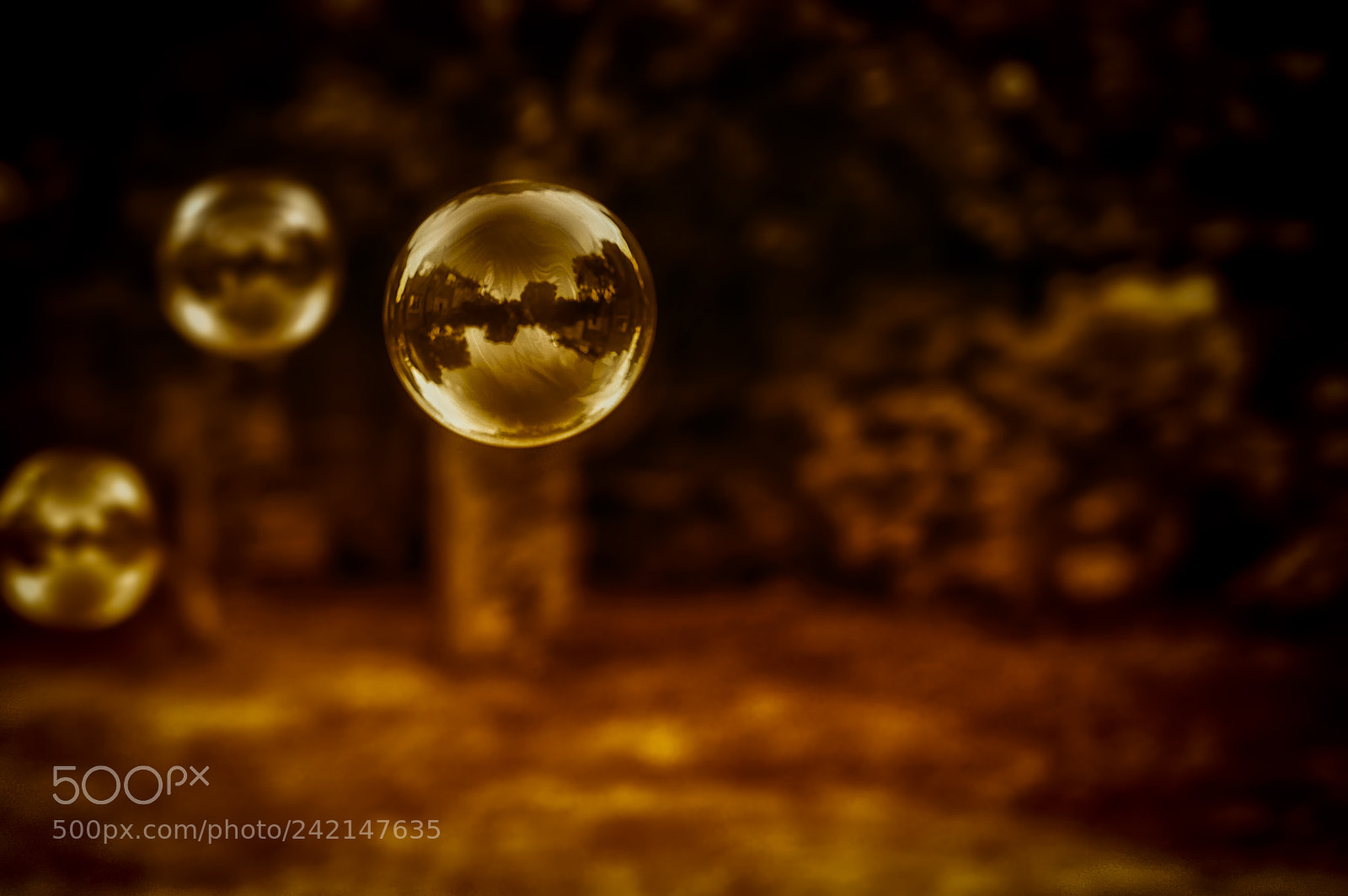 Nikon D300S sample photo. Golden bubbles photography