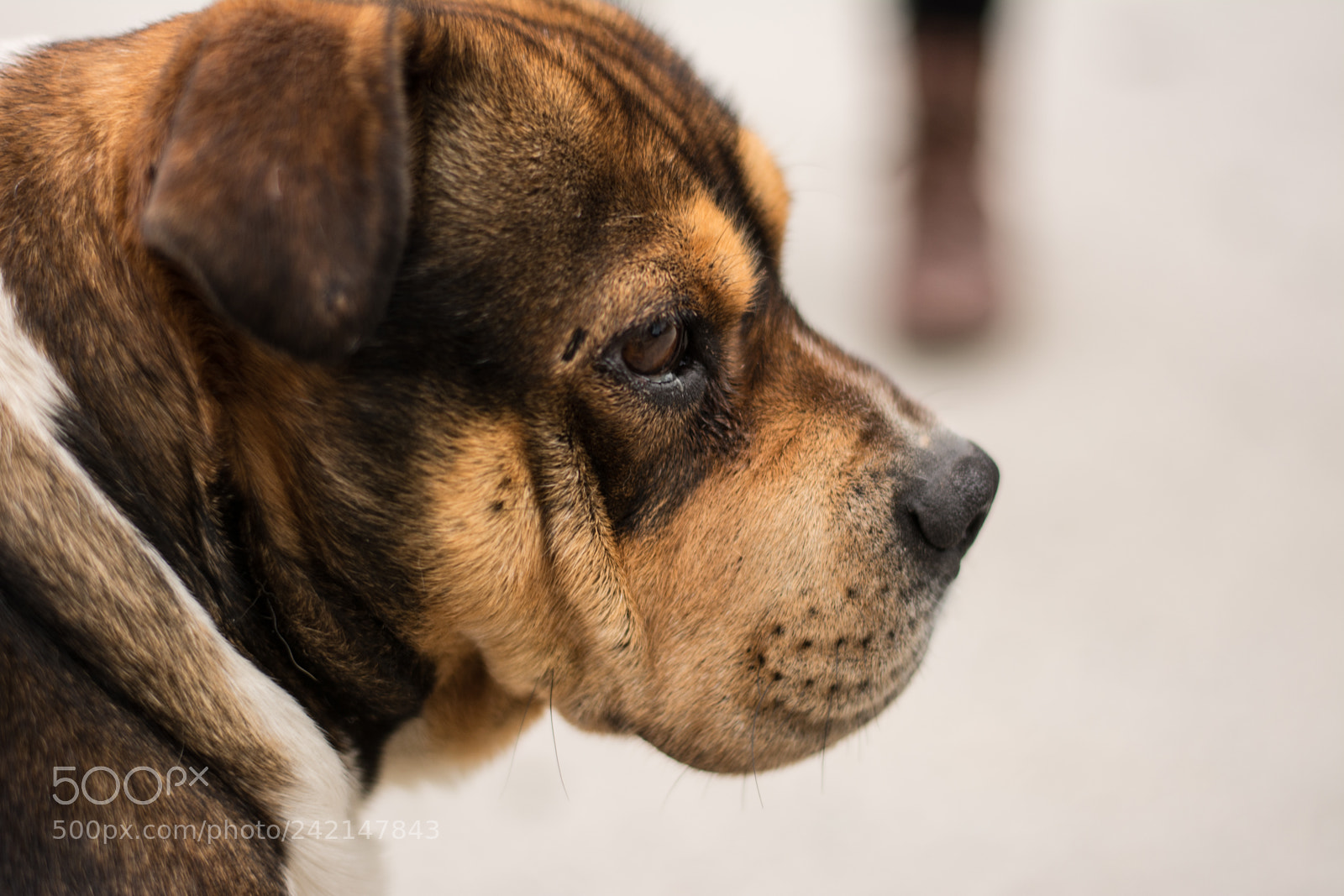 Nikon D7100 sample photo. Beautiful soul photography