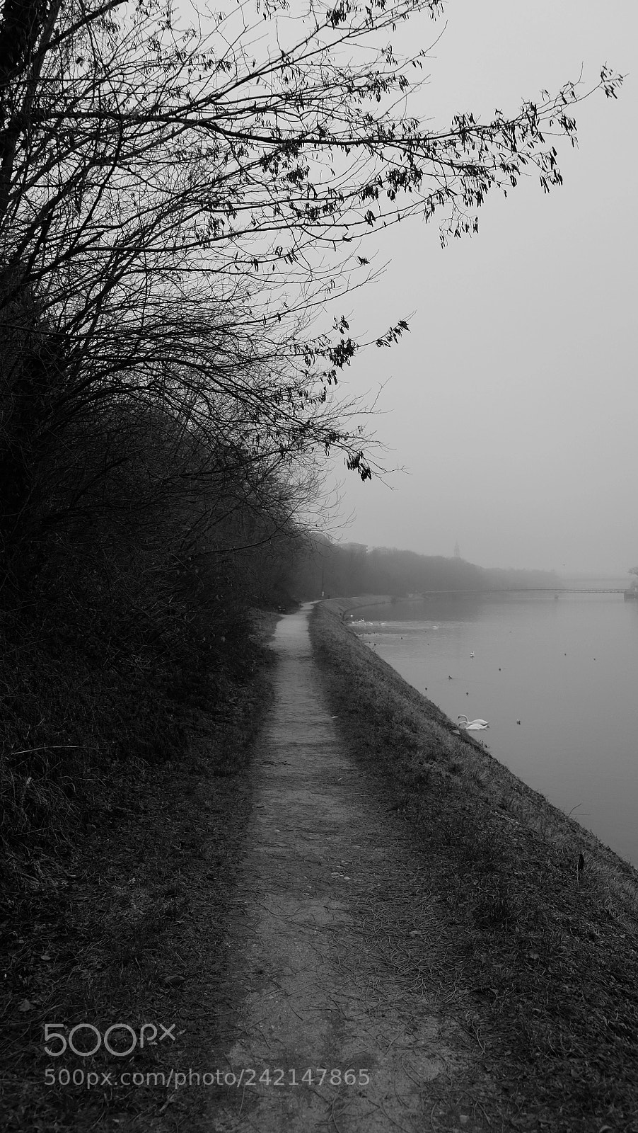 Fujifilm X-T1 sample photo. Moj vsakdanj photography