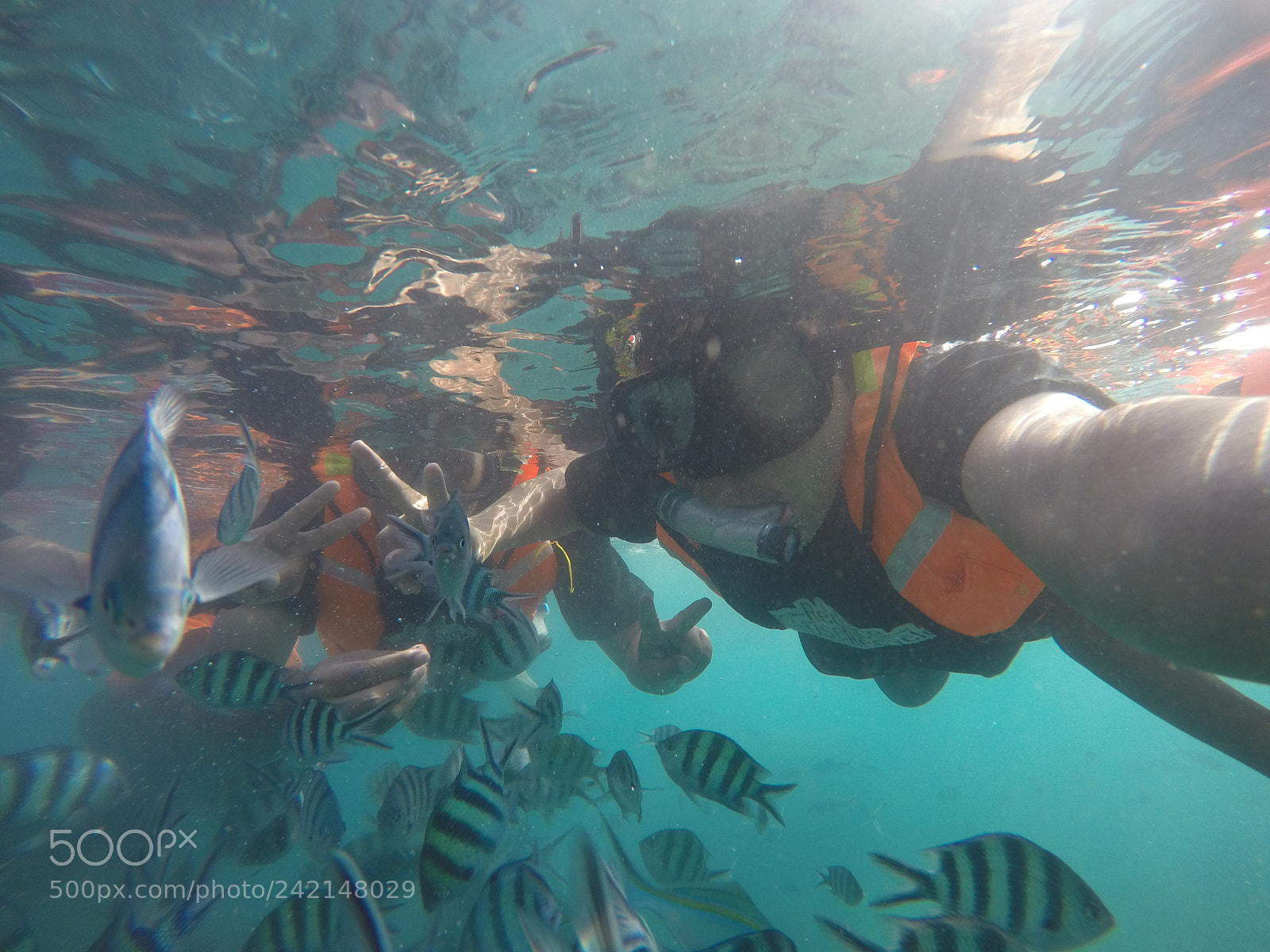 GoPro HERO4 Silver sample photo. Dcim\101gopro\gopr3236. photography
