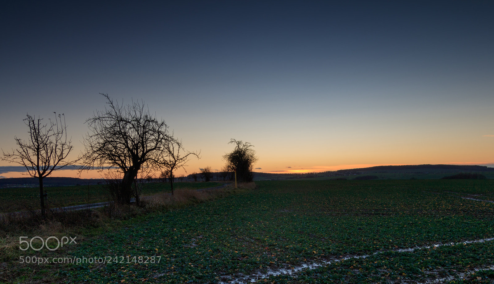 Canon EOS 750D (EOS Rebel T6i / EOS Kiss X8i) sample photo. Sundown near dresden photography