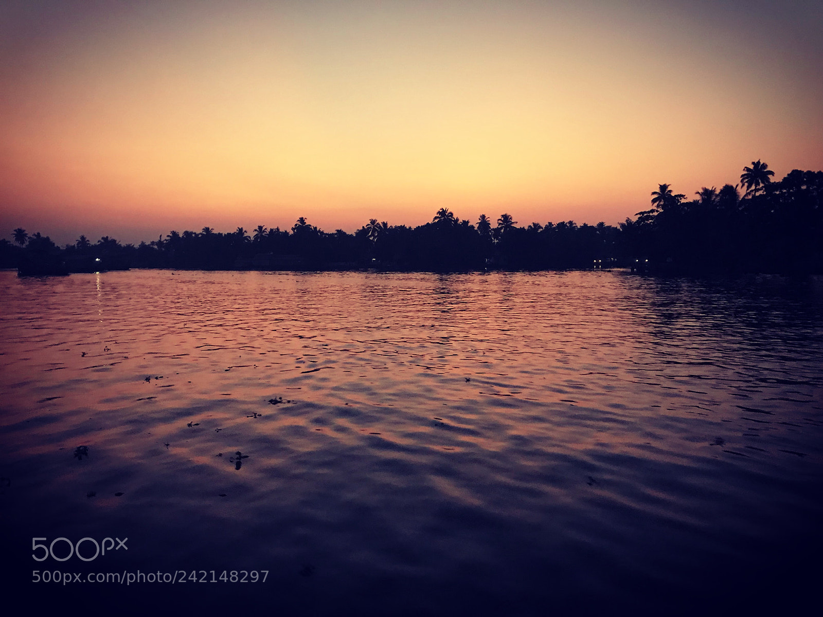 Apple iPhone 7 Plus sample photo. Alleppey, backwater photography