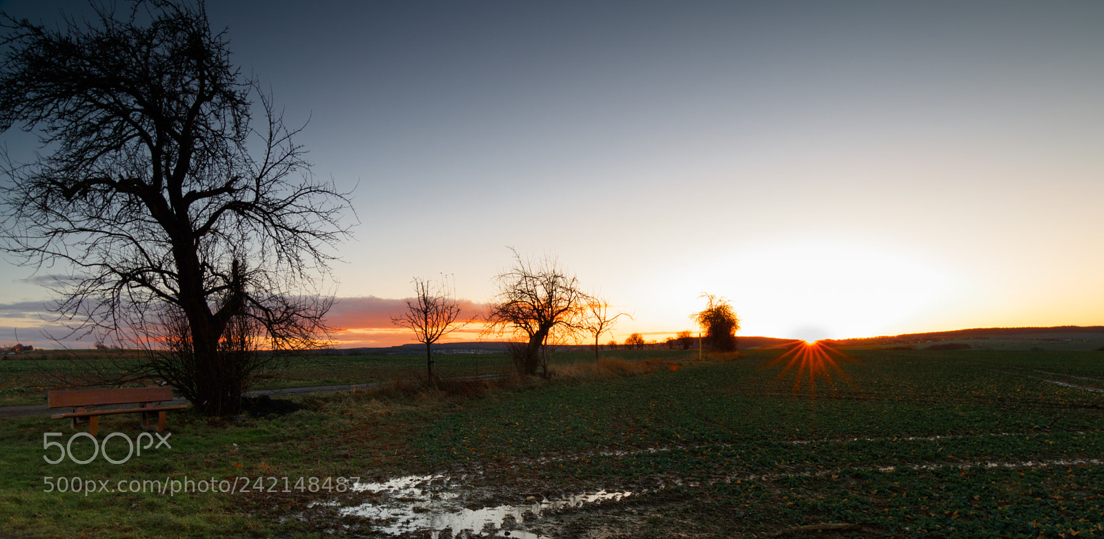 Canon EOS 750D (EOS Rebel T6i / EOS Kiss X8i) sample photo. Sunset near dresden in photography