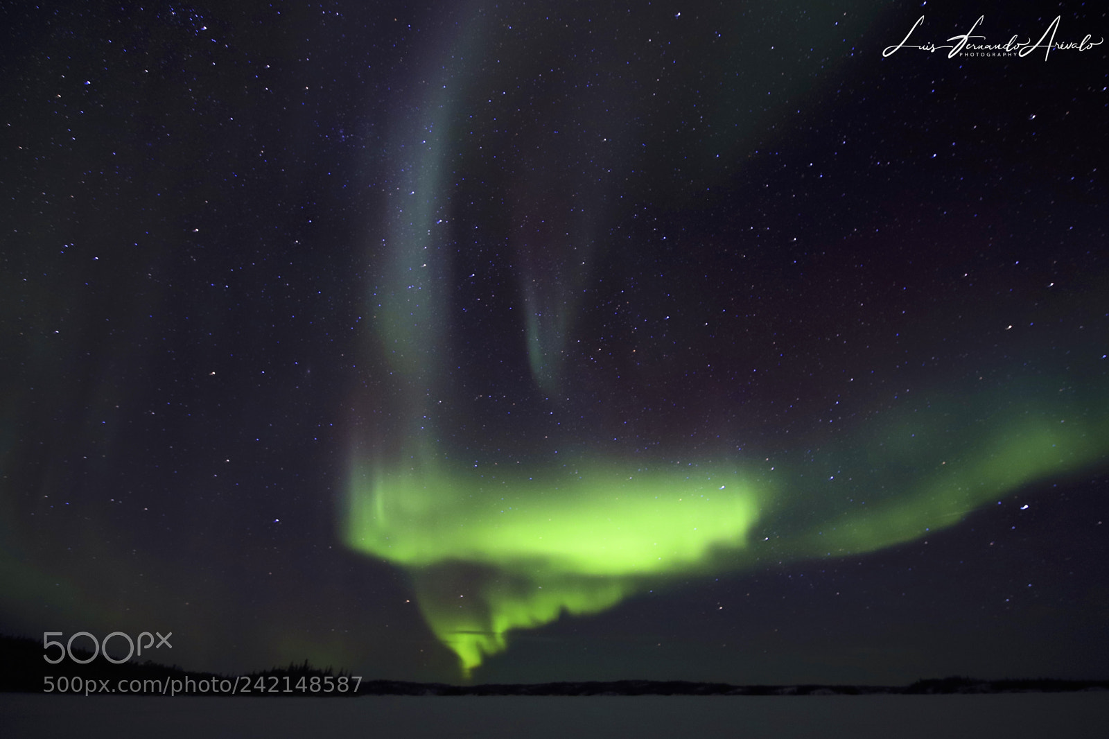 Canon EOS 6D Mark II sample photo. Aurora photography