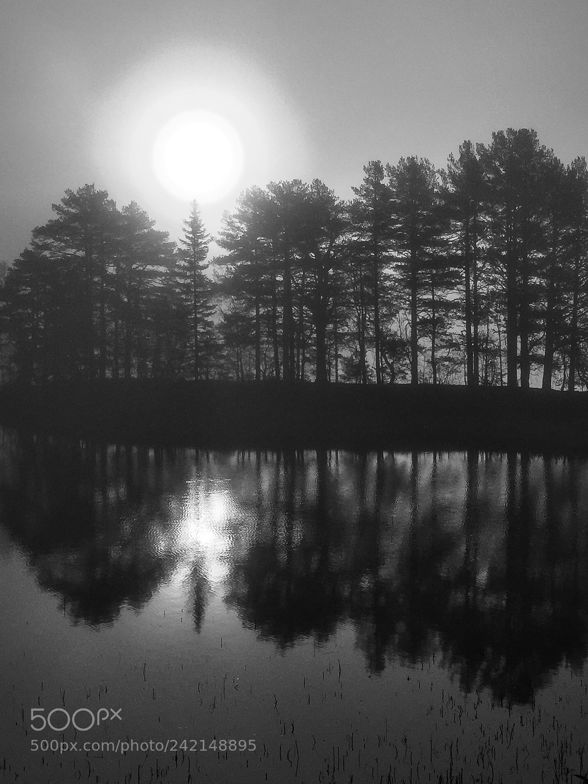 Apple iPhone 6 sample photo. B&w..."alter ego" photography
