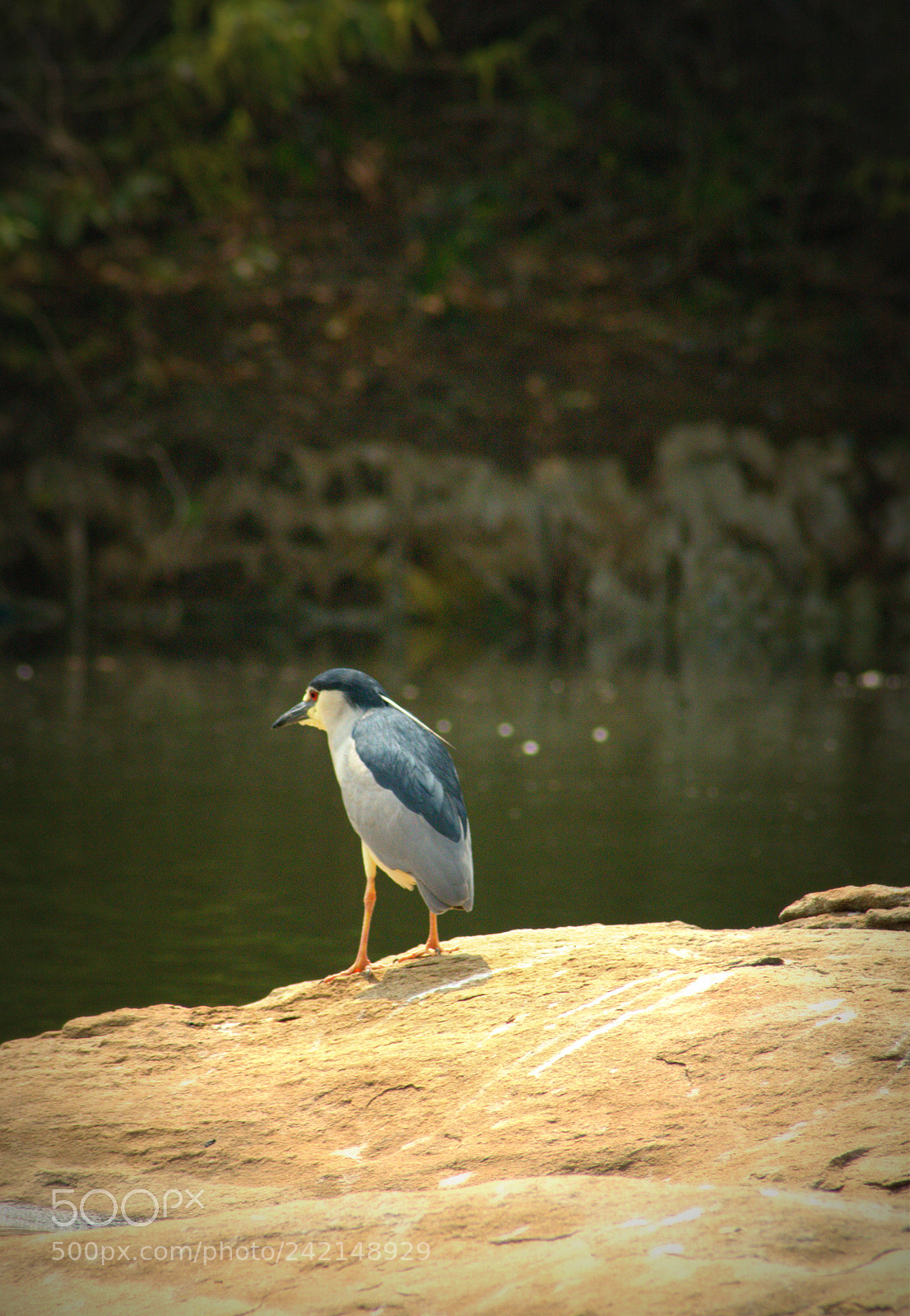 Nikon D3100 sample photo. Untitled photography