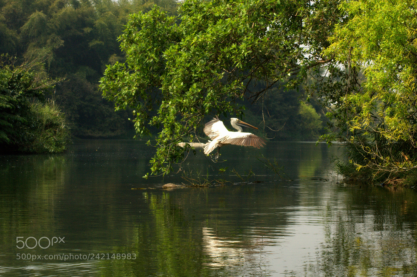 Nikon D3100 sample photo. Untitled photography
