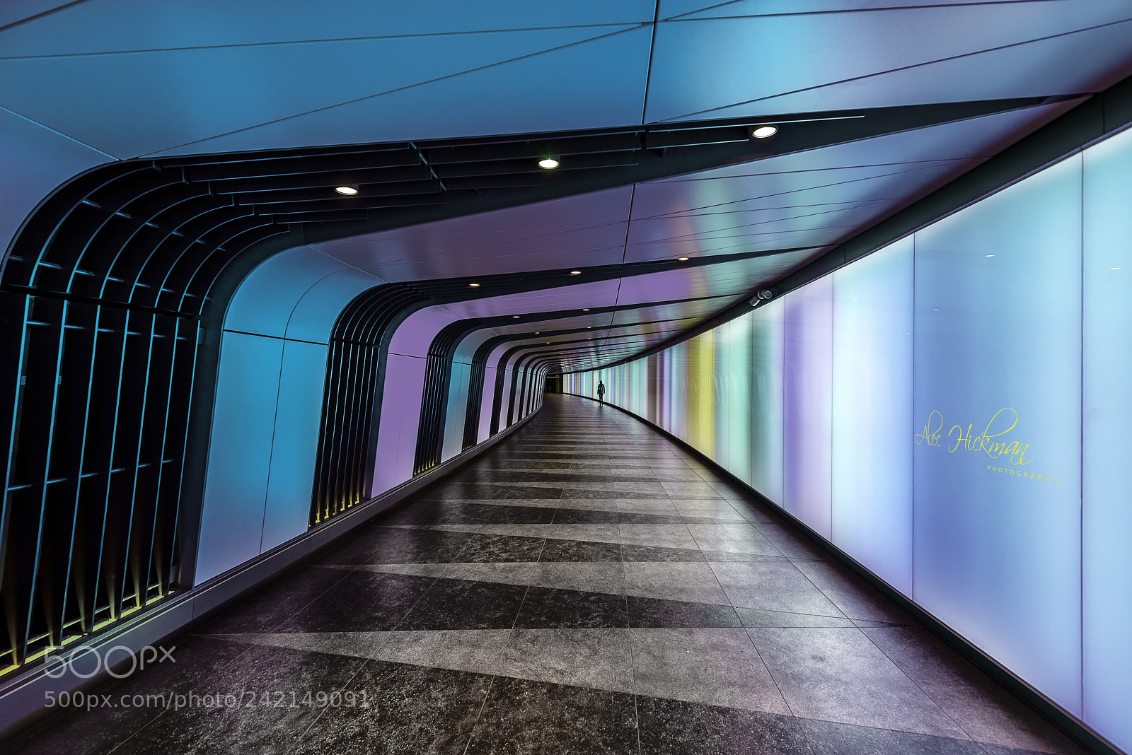 Nikon D810 sample photo. The light tunnel photography