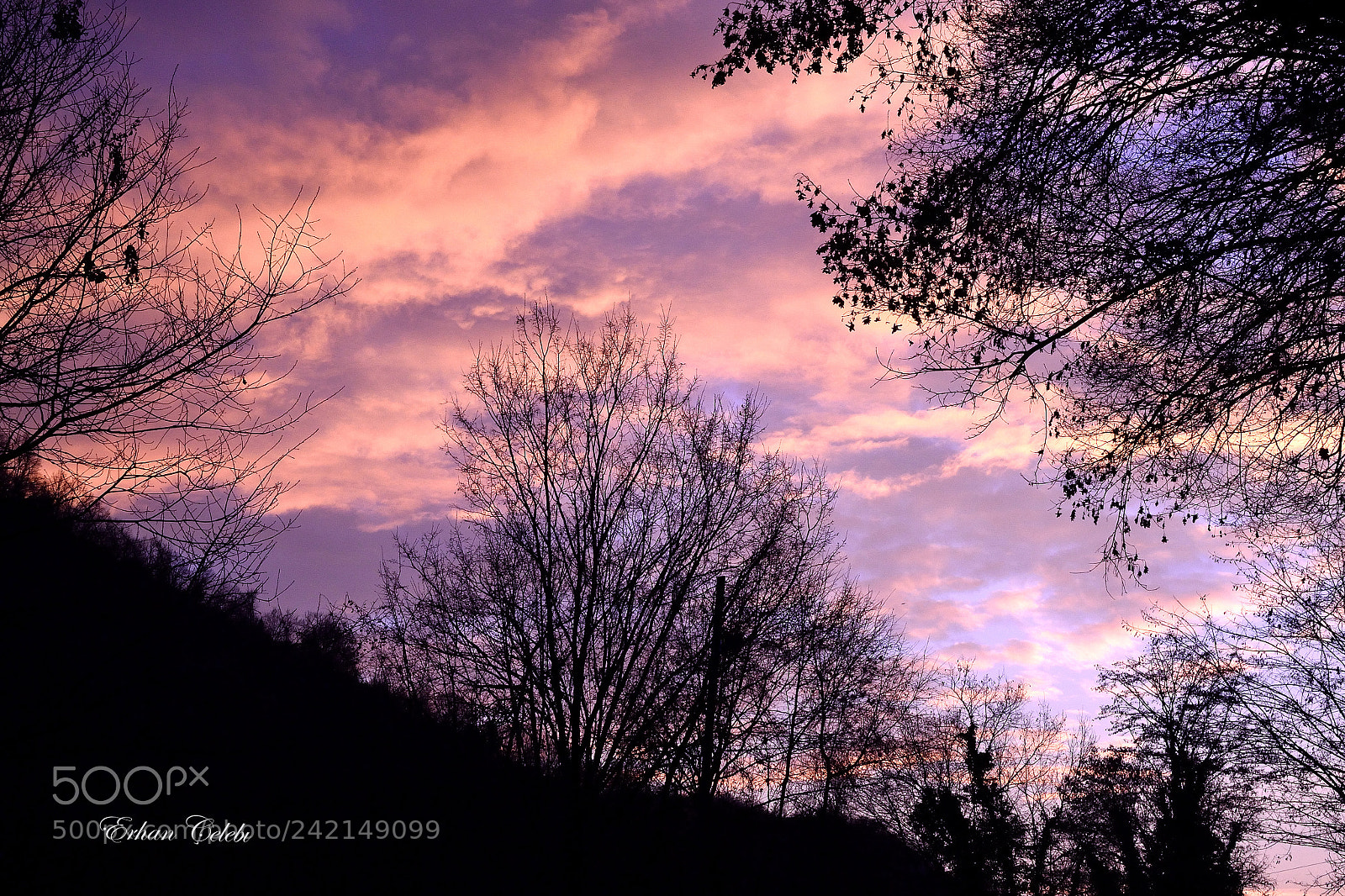 Nikon D3100 sample photo. End of the day photography