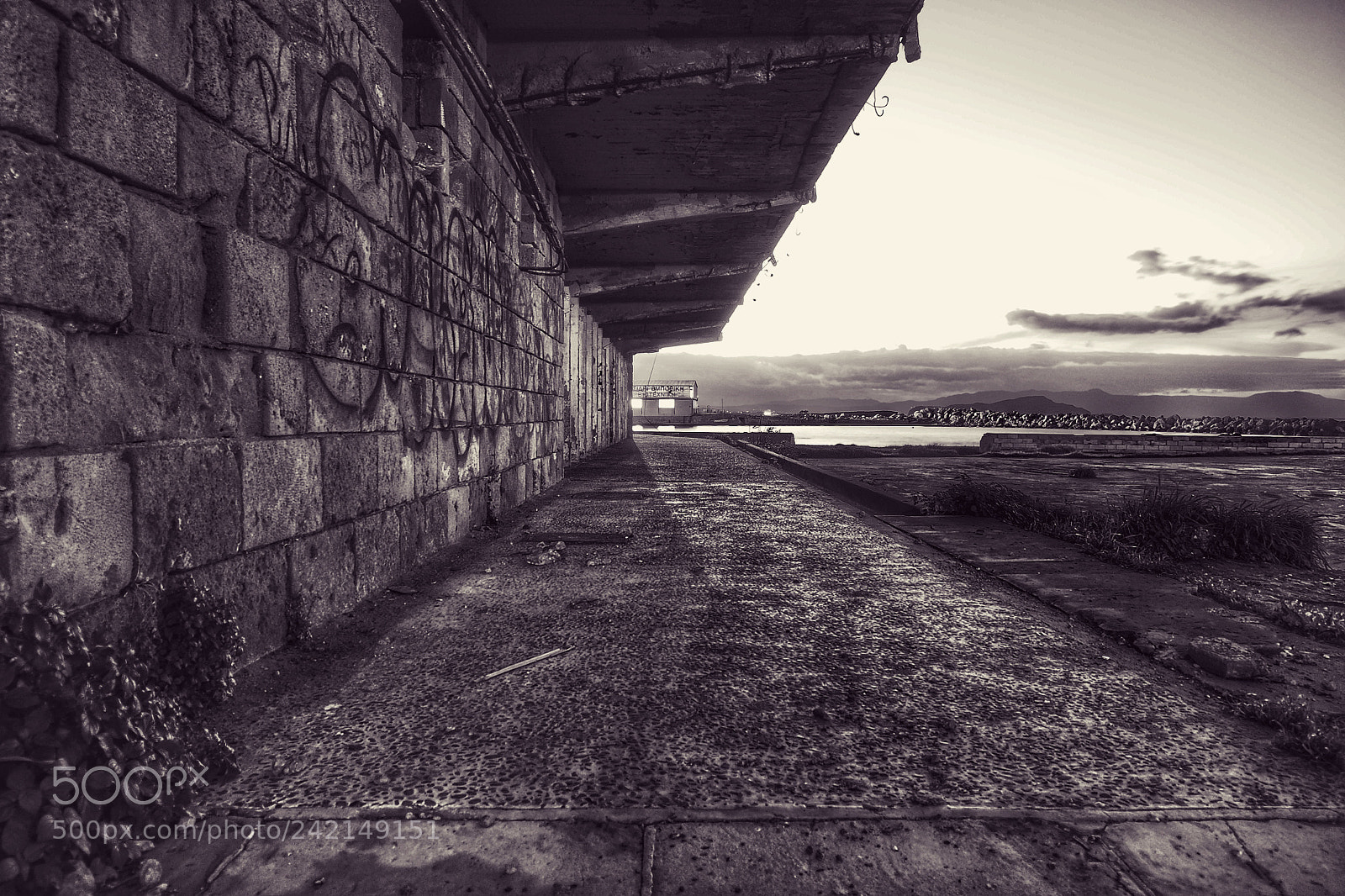 Olympus OM-D E-M5 sample photo. Abandoned 3 photography