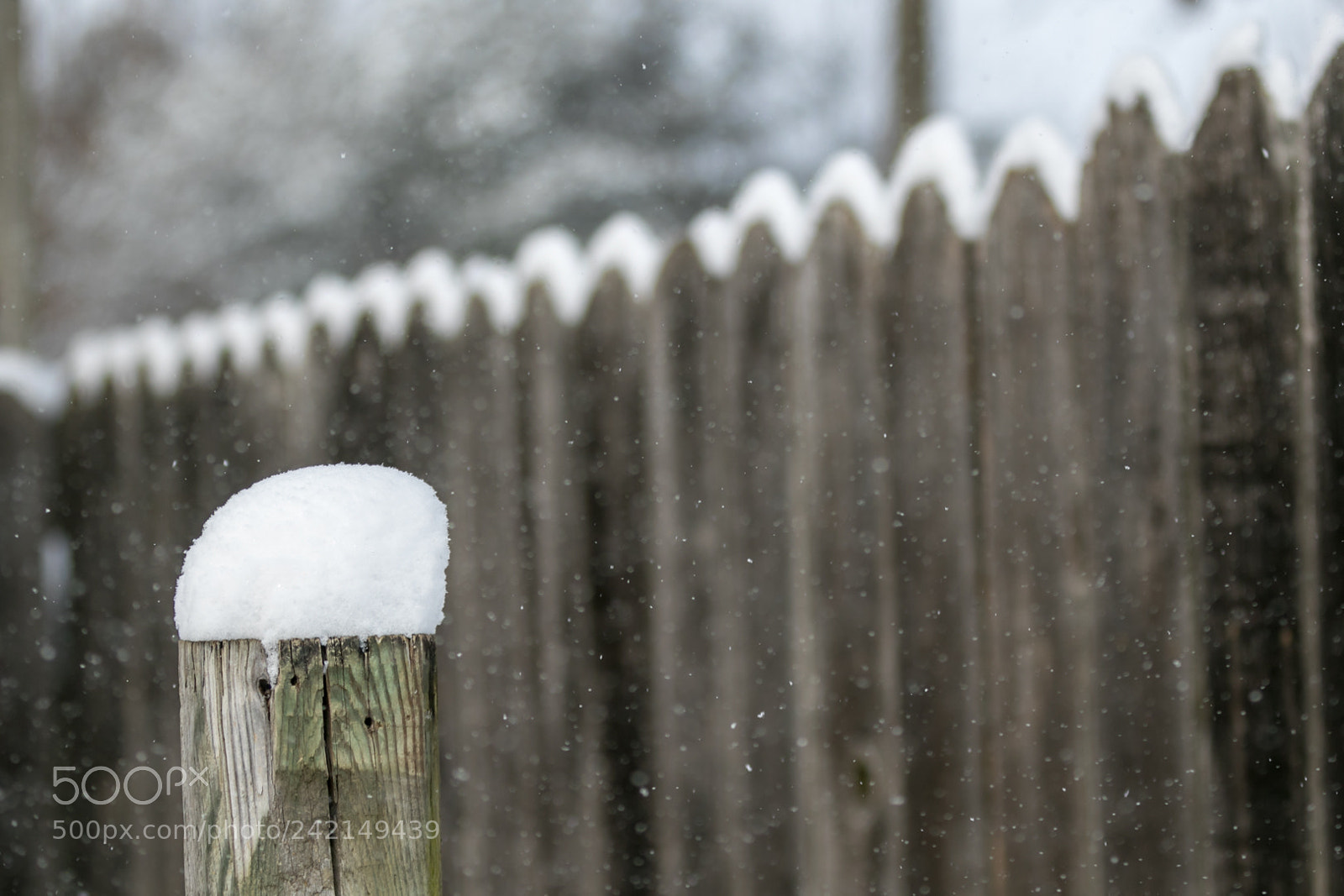 Canon EOS 7D Mark II sample photo. Iowa winter photography