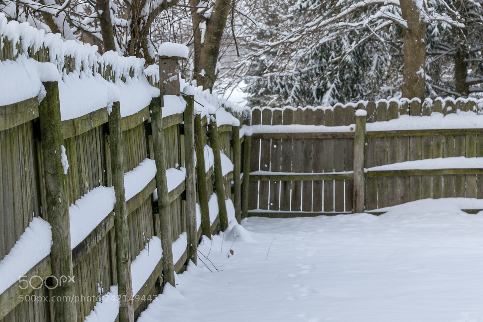 Canon EOS 7D Mark II sample photo. Iowa winter photography