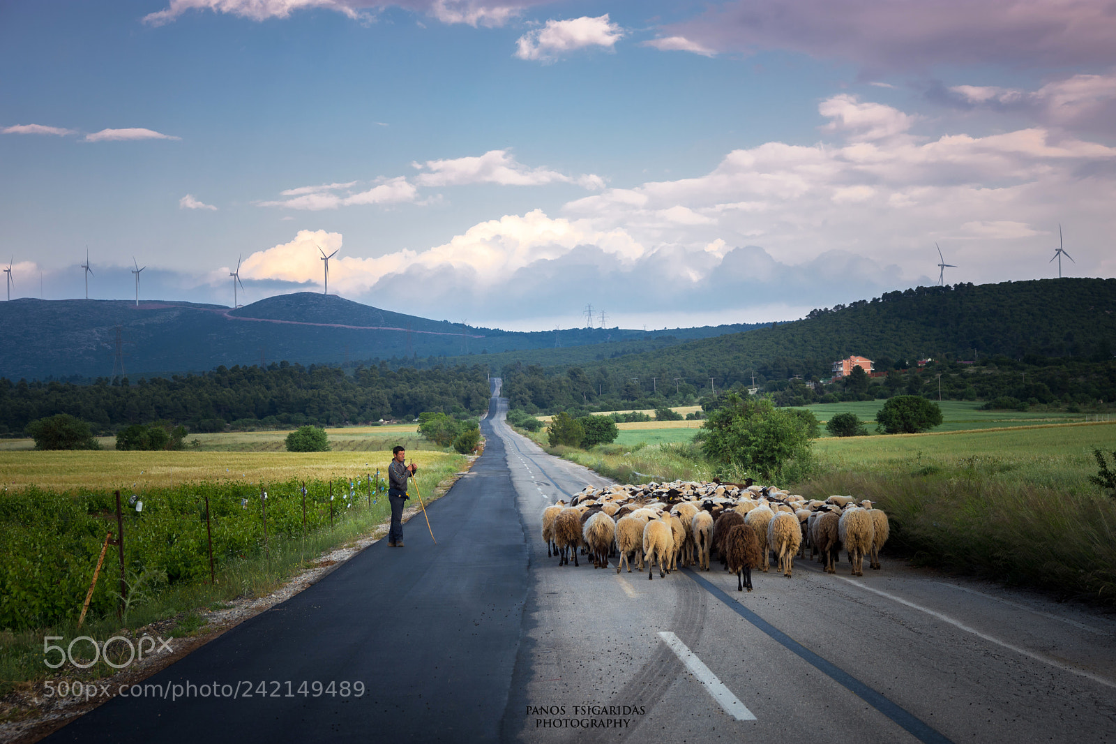 Nikon D7200 sample photo. Shepherd on the mountains photography