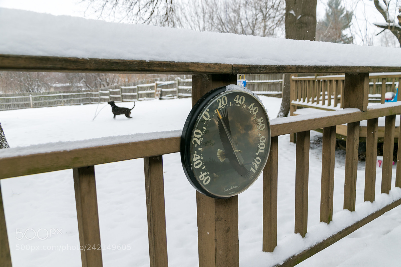 Canon EOS 7D Mark II sample photo. Iowa winter photography