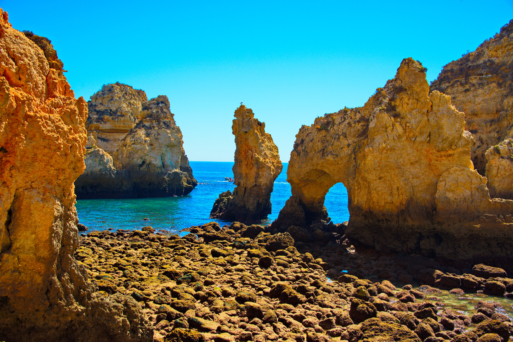 Nikon D800 sample photo. Cliffs of algarve photography