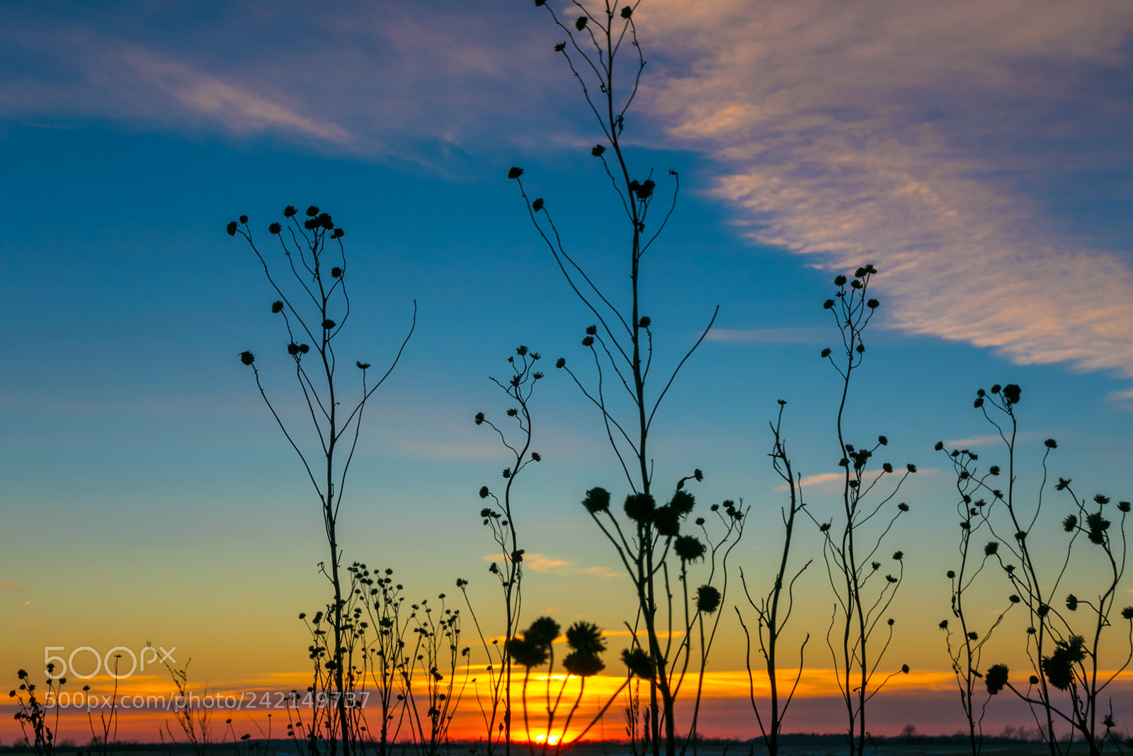 Canon EOS 7D Mark II sample photo. Iowa winter sunset photography