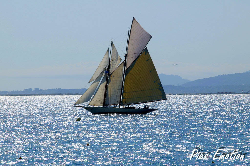 Olympus E-420 (EVOLT E-420) sample photo. Yacht on baie des photography
