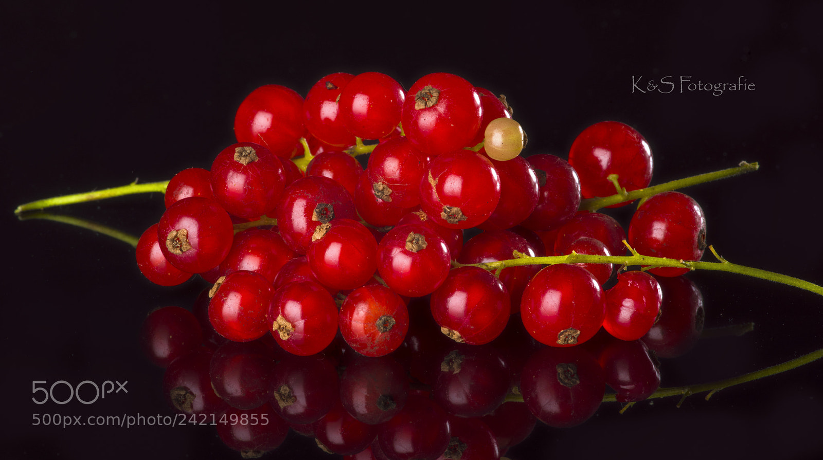 Nikon D810 sample photo. The one photography