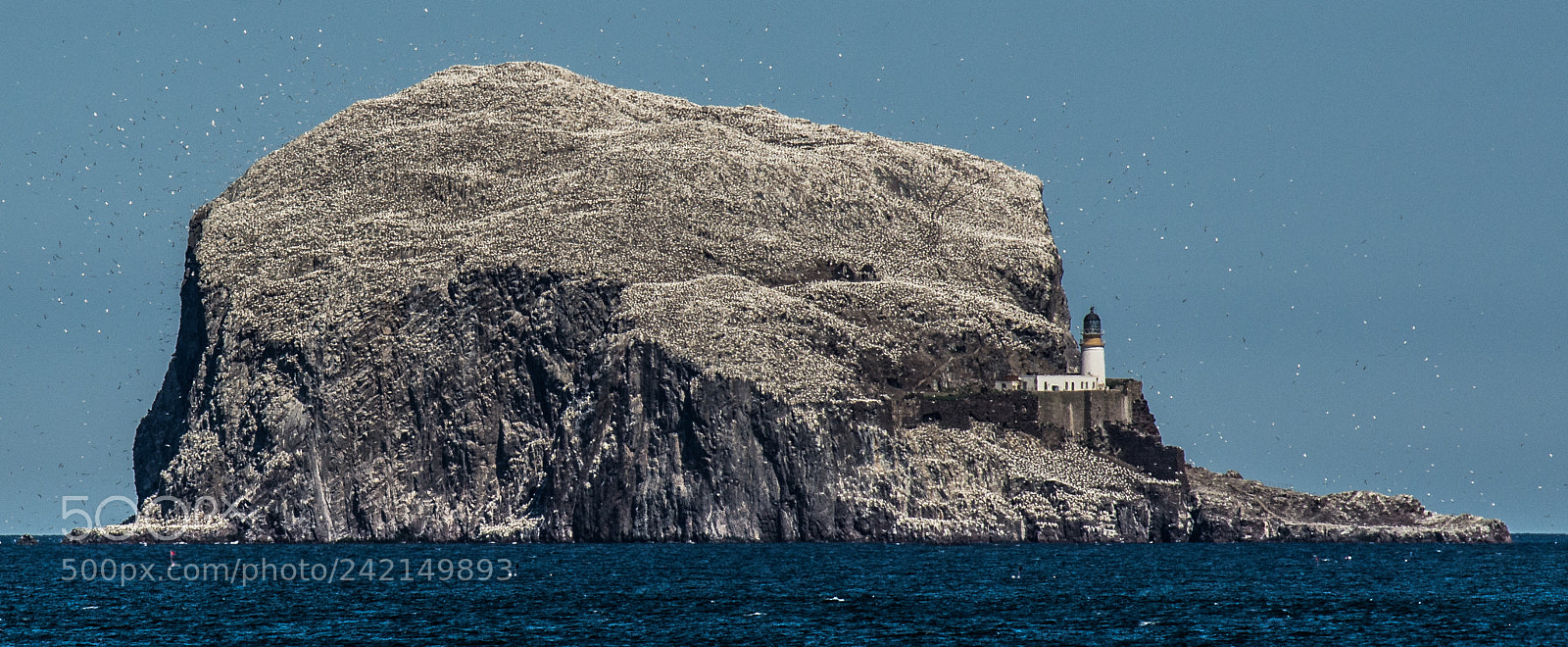 Nikon D7200 sample photo. Bass rock lighthouse photography