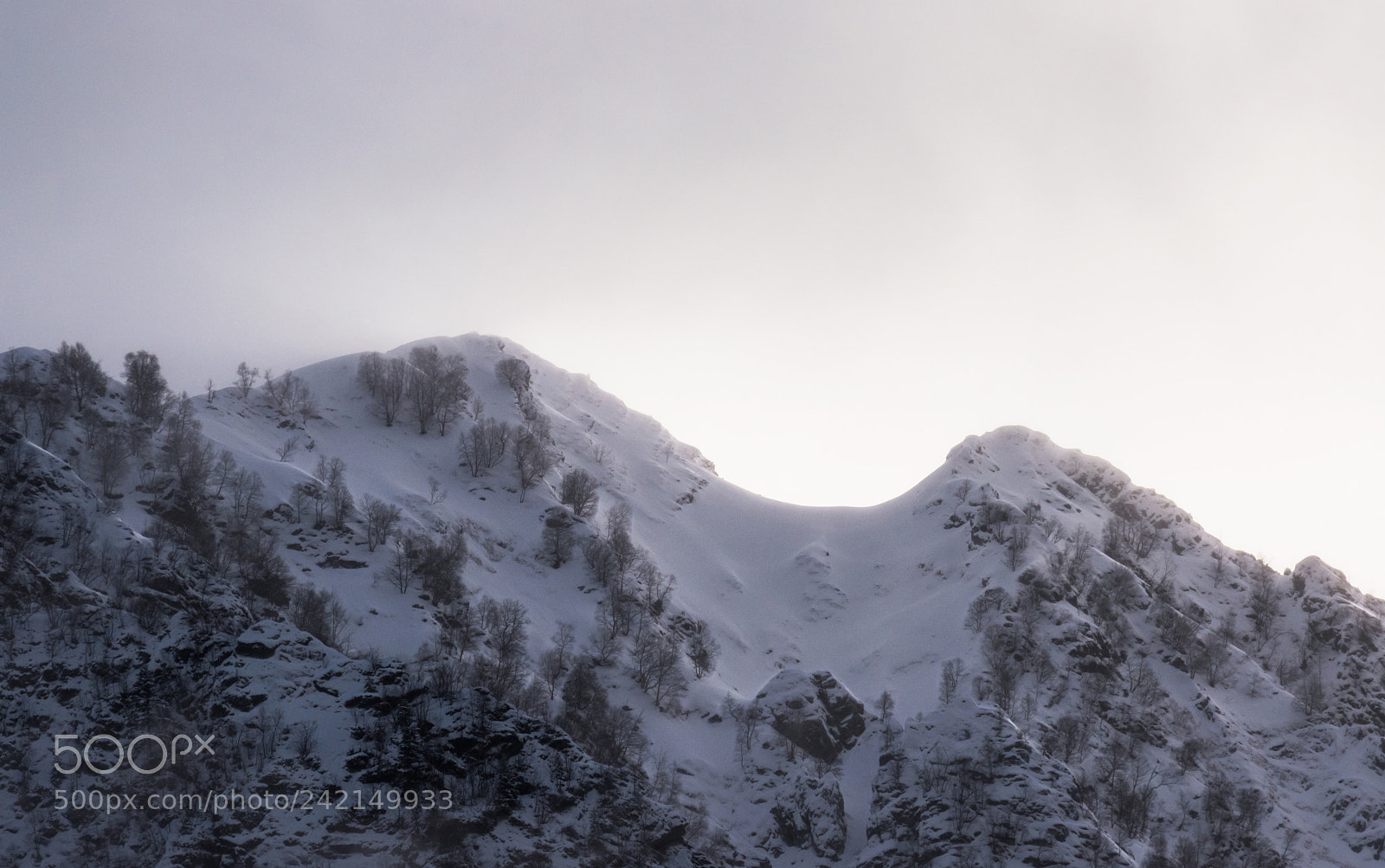 Nikon D5500 sample photo. Snowy corridor photography